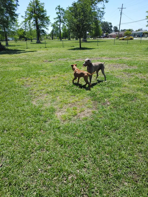 Gretna Dog Park