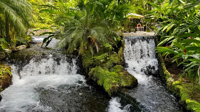 Shangri La Gardens Tabacón Club Area