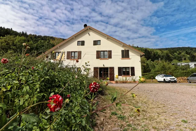 Gîte La Vosgienne SPA&SAUNA - Gîte de groupe