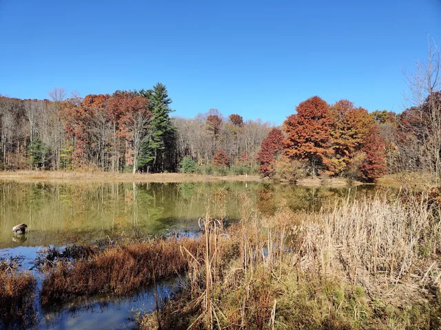 Strongsville Wildlife Area