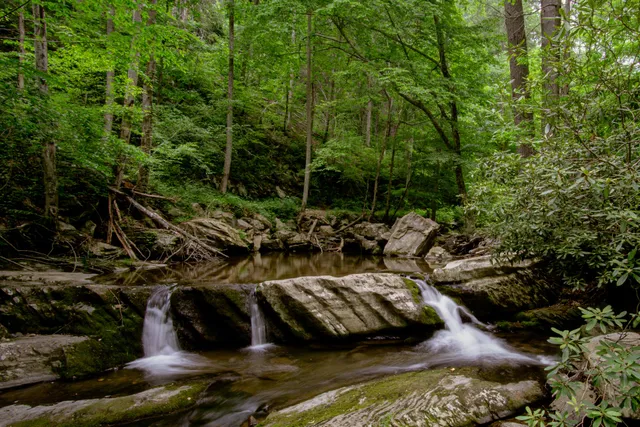 Goforth Creek Trailhead
