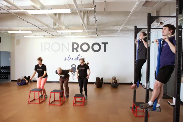 Iron Root Studio