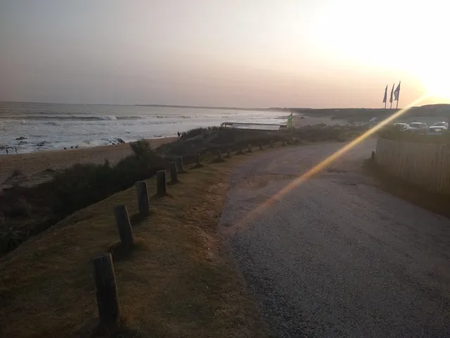 PALMAS DE LA PEDRERA