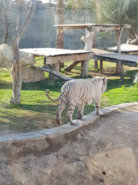 Al Ain Zoo Corporate Office