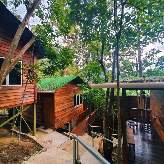 Utan Teluk Nipah Pulau Pangkor