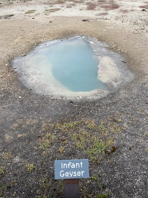 Infant Geyser