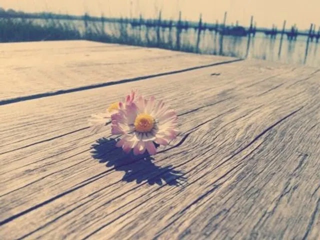 Ferienwohnungen und Bungalow am Selliner See/Rügen