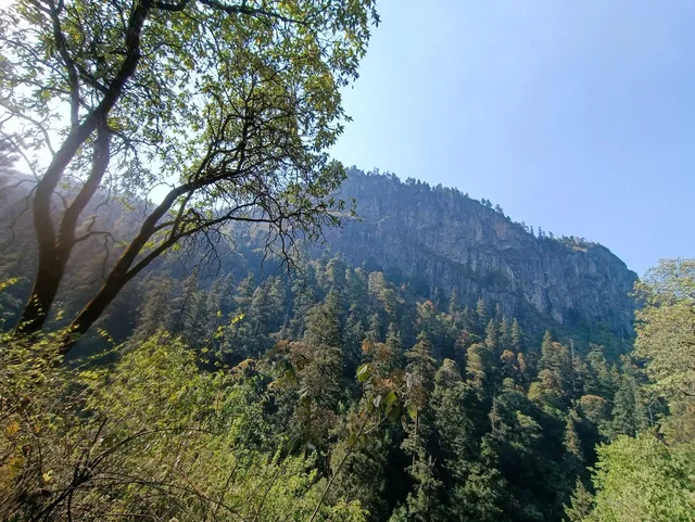 Tercer Dinamo Paidos