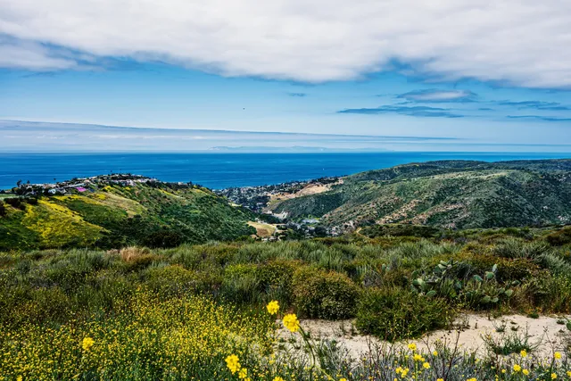 Aliso and Wood Canyons Wilderness Park