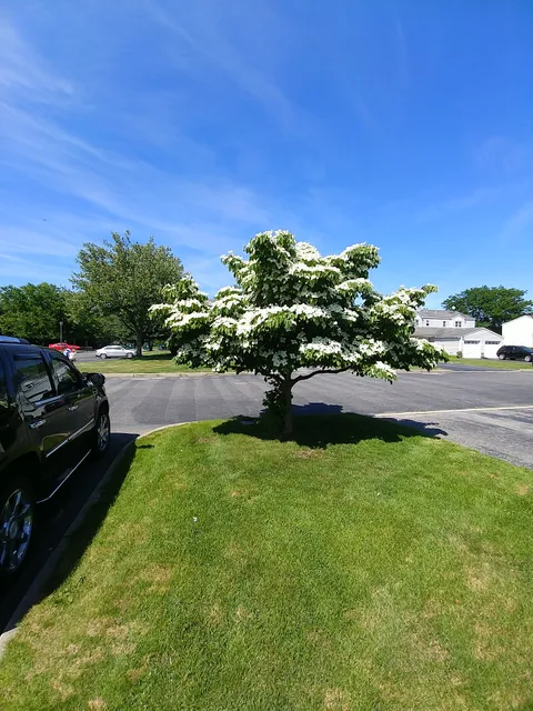 Grace Community Church