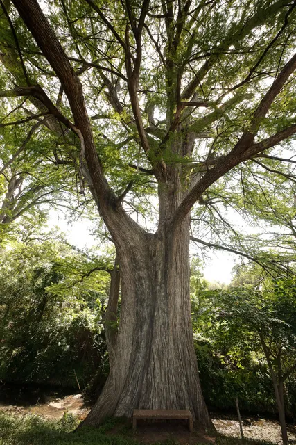 Crider's on the Frio