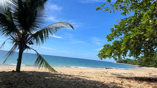 Hotel Arrecife Punta Uva