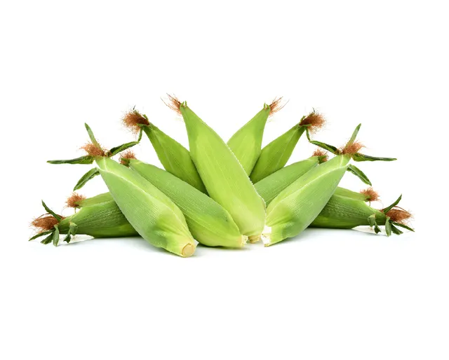 Elote Mexicano en Phoenix