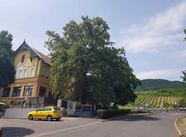 Hotel Neptun Badacsony