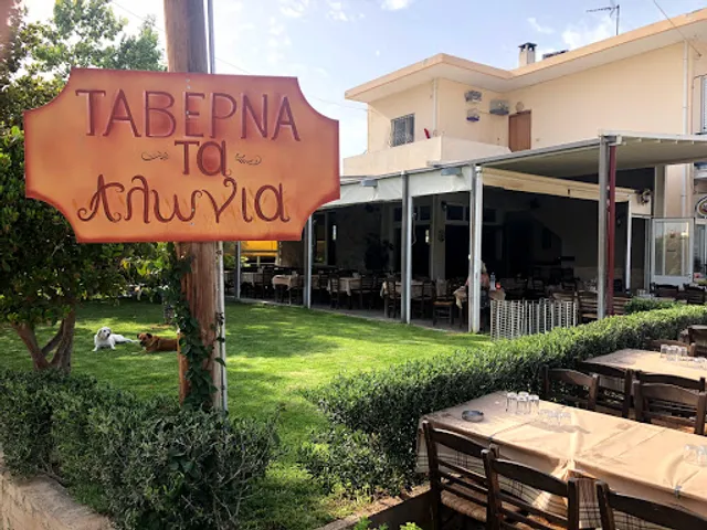 «Τ' ΑΛΩΝΙΑ» Παραδοσιακή Ελληνική Ταβέρνα