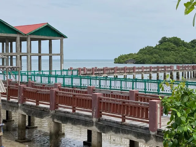 areef homestay kaledupa