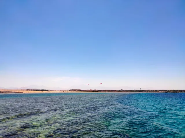 Snorkeling Area (Coral reef)