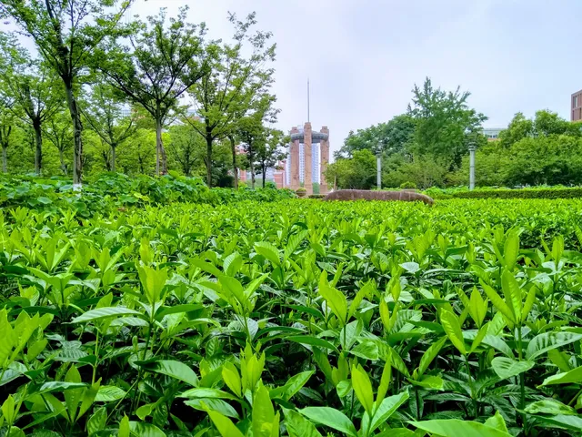 Hangzhou Dianzi University Library