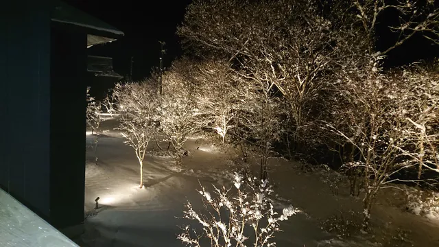 山の神温泉 清流館