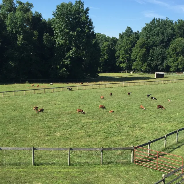 Shellbark Hollow Farm LLC