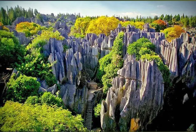 Stone Forest Scenic Area