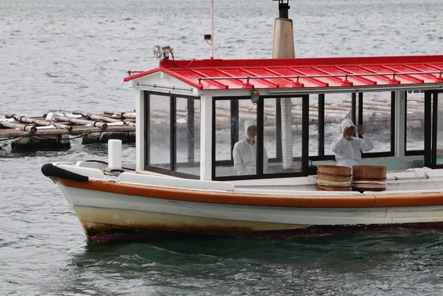 Ama Viewing Platform