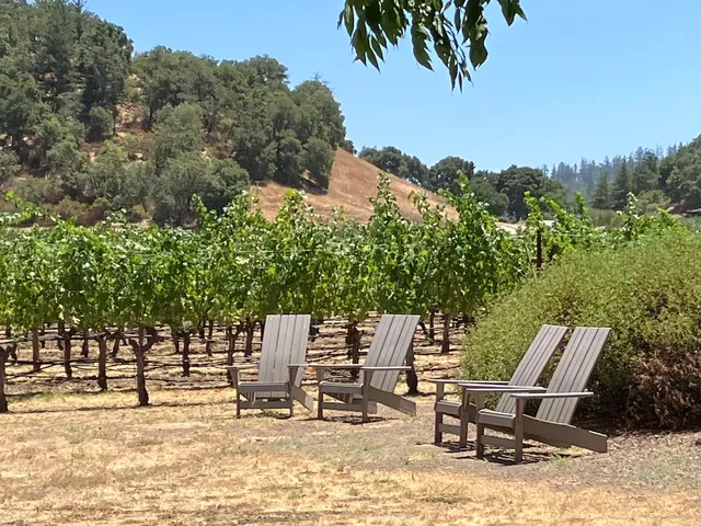 Cliff Lede Vineyards
