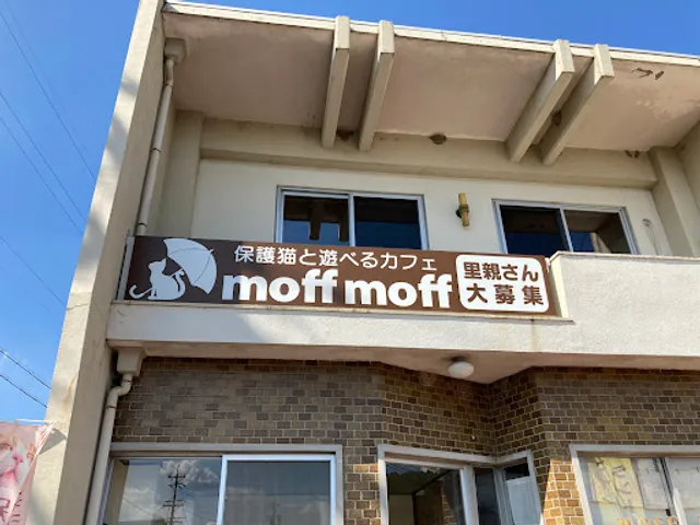 Cat Cafe moff moff