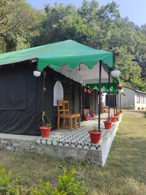 The jungle book by lake & woods