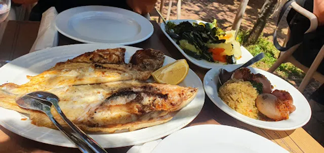 ORIGINAL CASA DE PEIXE