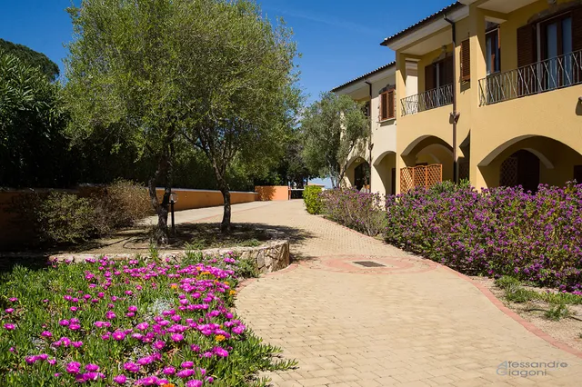 Residence l'Isola Surf House