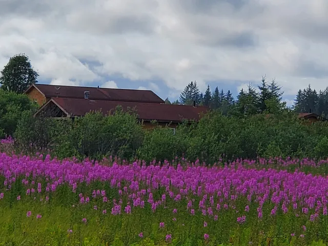 Blue Heron Bed and Breakfast at Glacier Bay