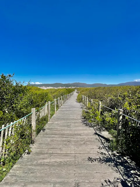 Passadiços Forte do Cão - Âncora