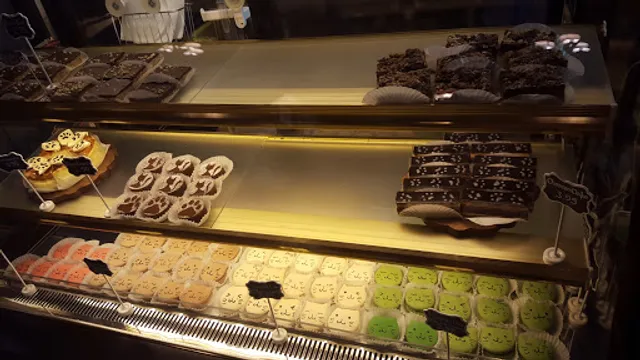 Seattle Meowtropolitan