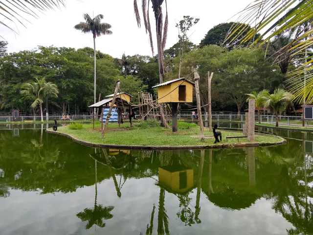 Zoológico Do CIGS 🐯
