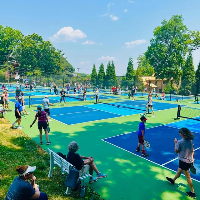 Dink City Pickleball