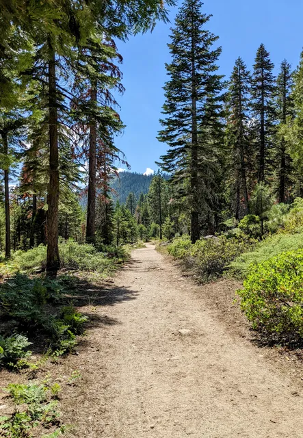 Meeks Creek Trailhead