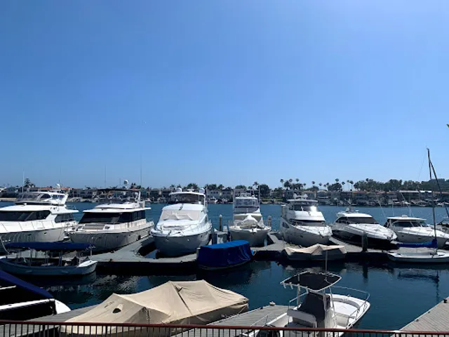 Newport Marina