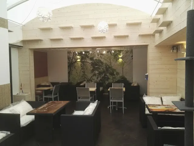 Féline Idée - Restaurant - Bar à Chats