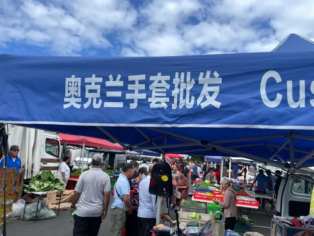 Matakana Country Park Sunday Market