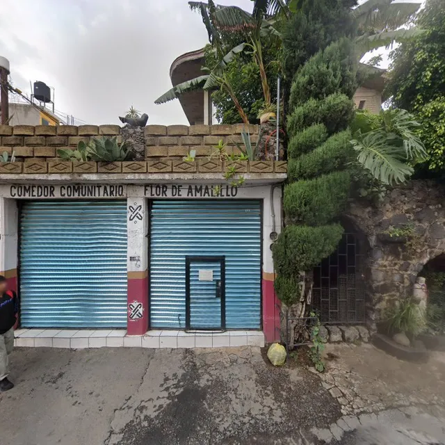 COMEDOR COMUNITARIO FLOR DE AMALILLO