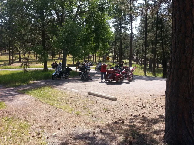 Iron Mountain Picnic Area