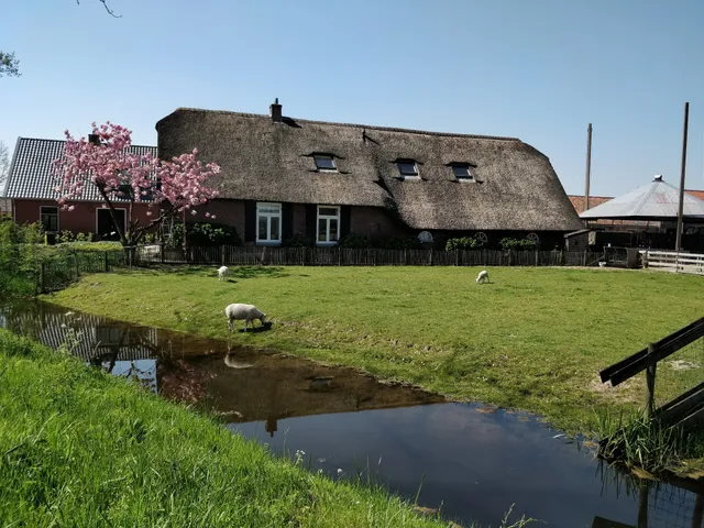 B&B De Boerenzwaluw