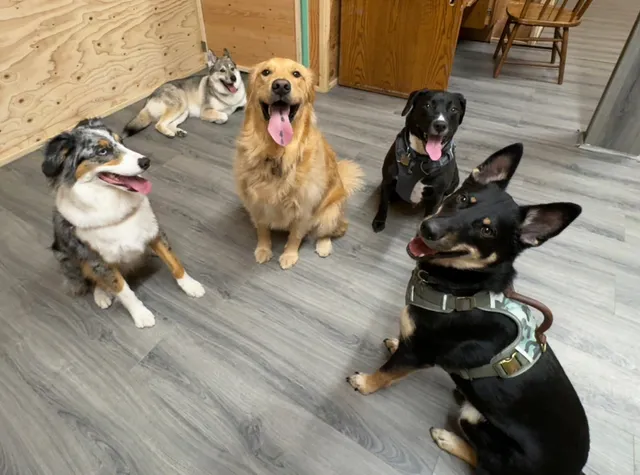 Pawsome Park and Lodge