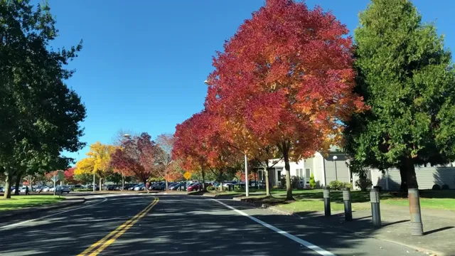 Western Oregon University