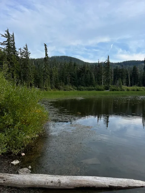 Tipsoo Lake Comfort Station