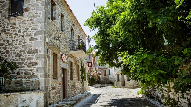 ΡΟΔΑΚΑΣ -ΚΟΝΤΙΑΣ