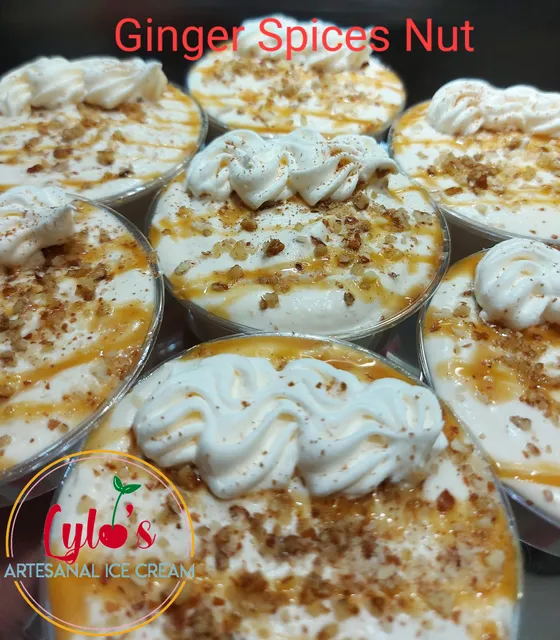 Lylo's Artesanal Ice Cream