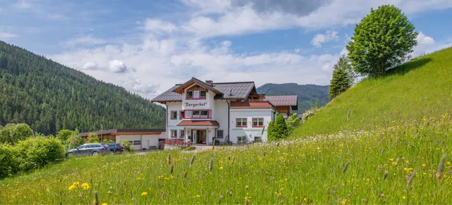 Bergerhof - Zimmer & Appartements