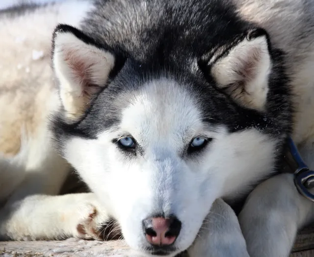 Aventures Nord-Bec Stoneham